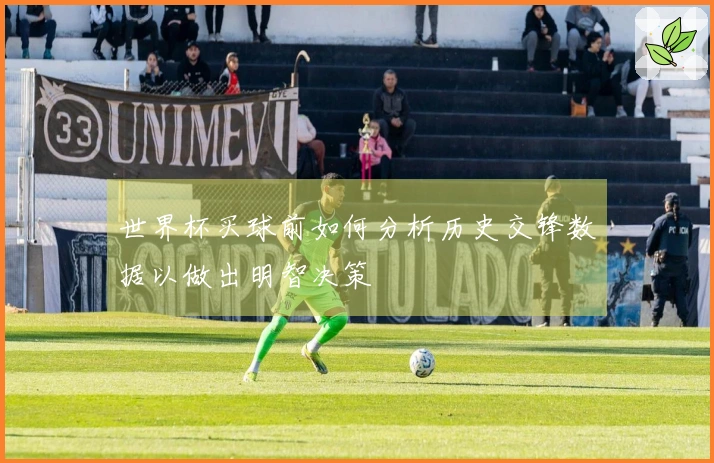 世界杯买球前如何分析历史交锋数据以做出明智决策