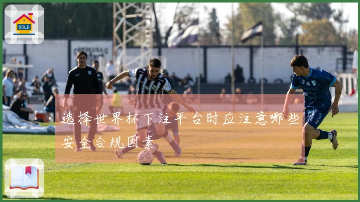 选择世界杯下注平台时应注意哪些安全合规因素